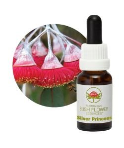 Silver Princess, 15 ml